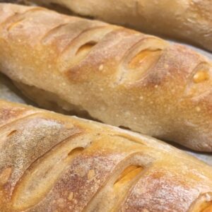 מיוחד השבוע! מושון בתיבה:-)